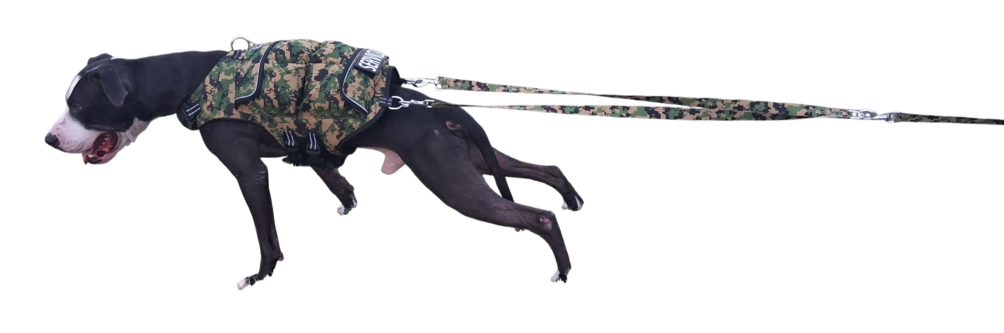 WEIGHTED DOG VEST VALUE PACKAGE