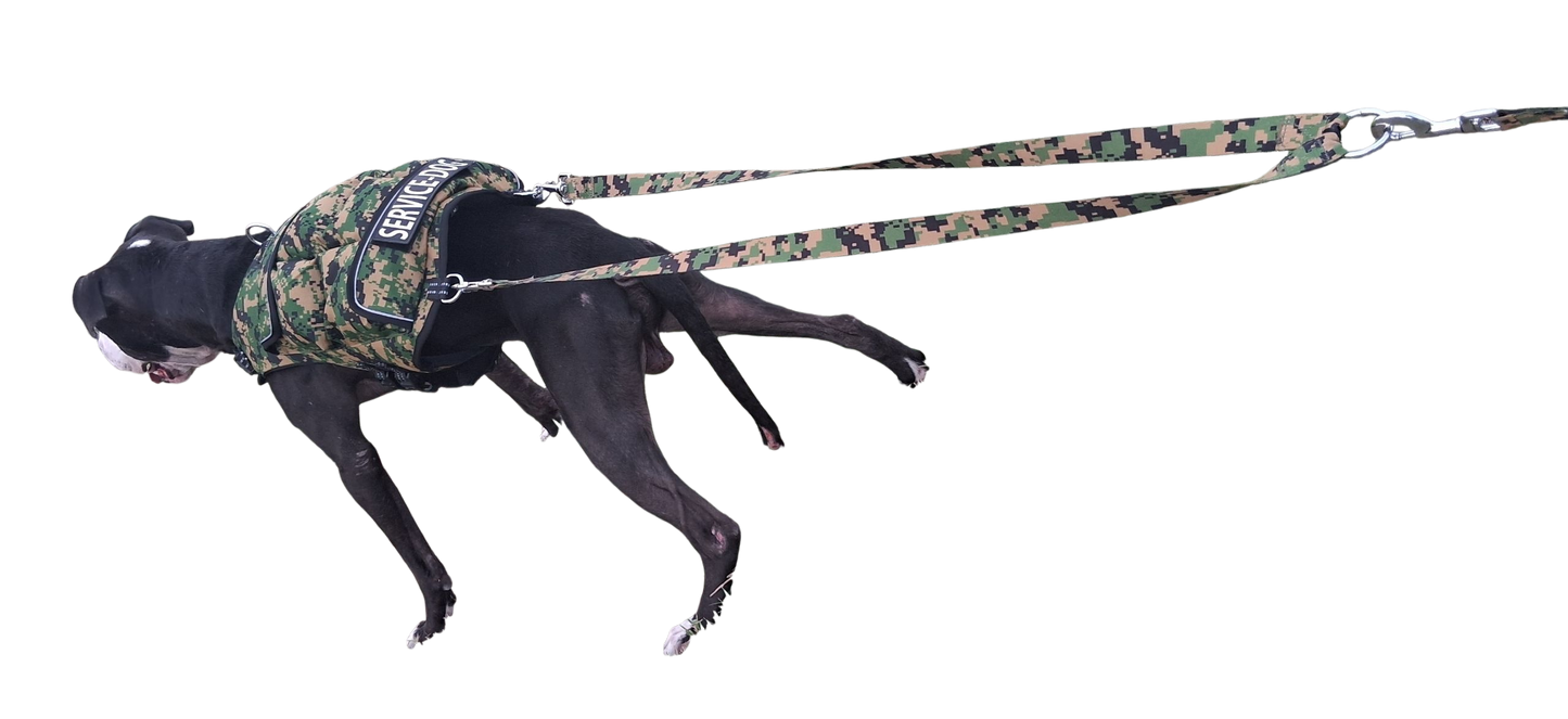 WEIGHTED DOG VEST VALUE PACKAGE