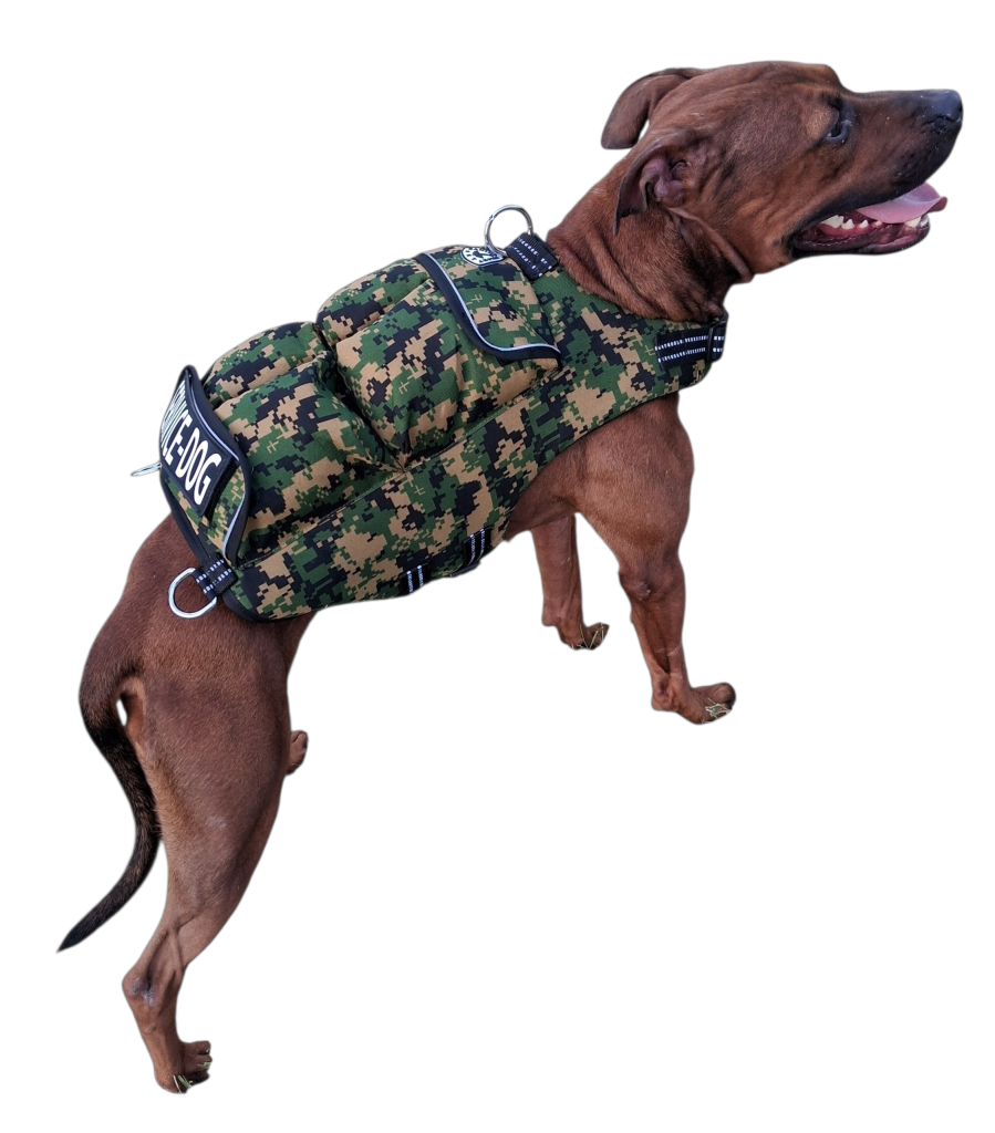 WEIGHTED DOG VEST VALUE PACKAGE