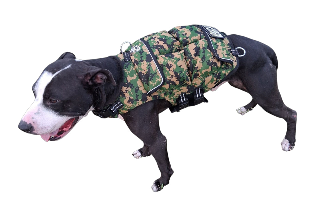 WEIGHTED DOG VEST VALUE PACKAGE