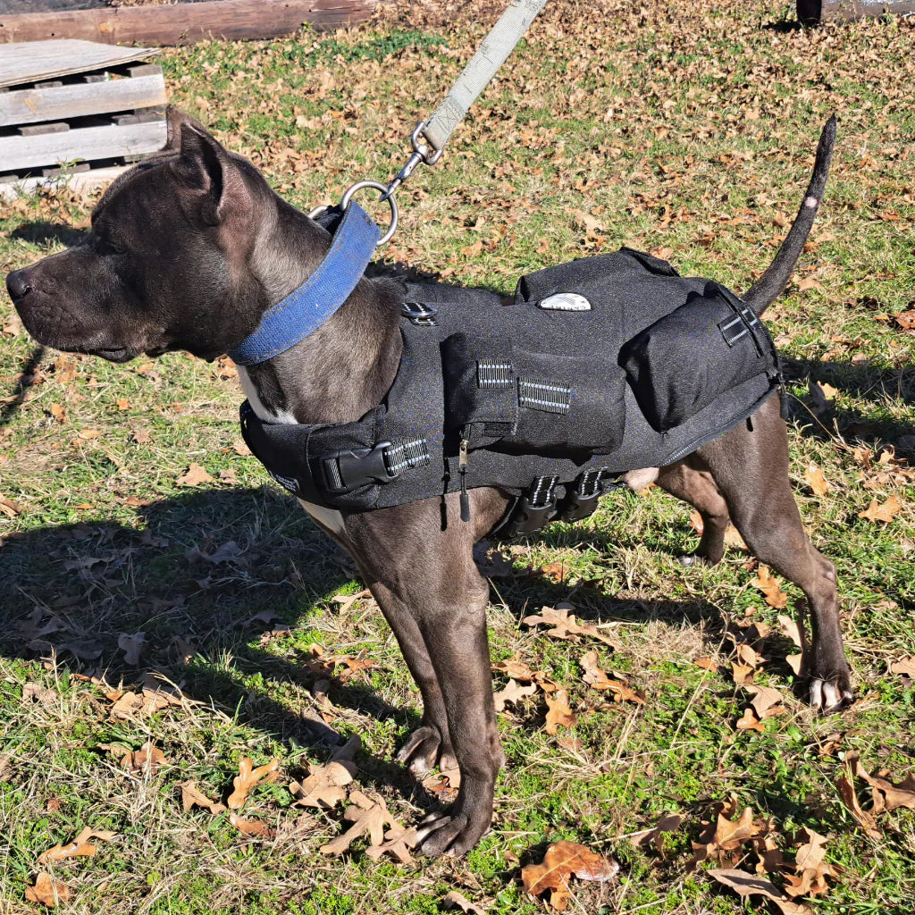 Weighted + Floatation Swimming + Pulling Attachment 3 in 1 Dog Vest