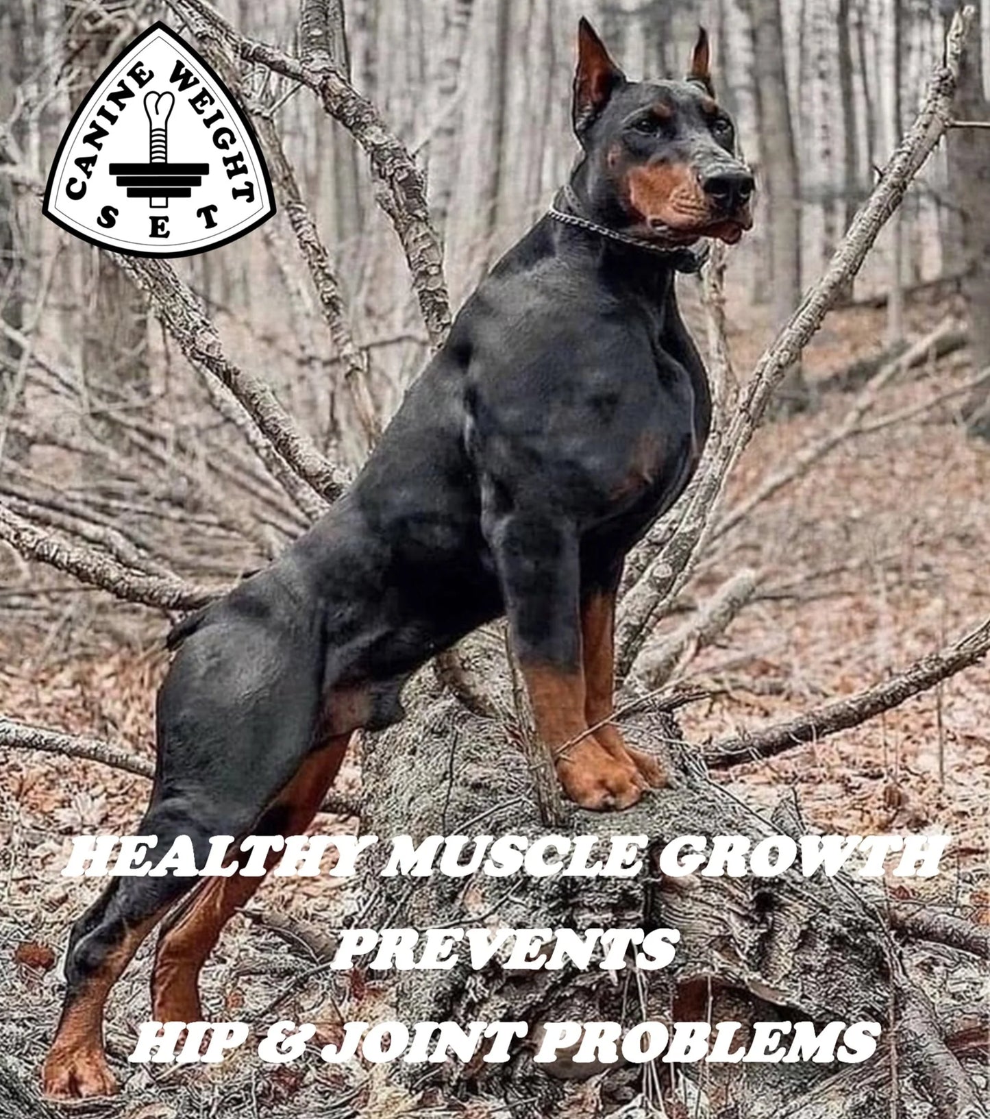 Muscle Gainer Dog Treats Soft Chew