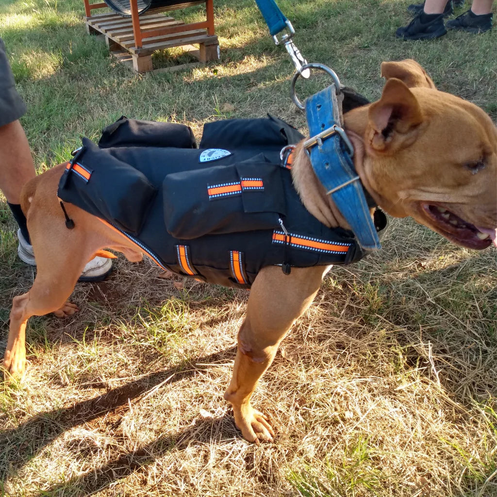 Weighted + Floatation Swimming + Pulling Attachment 3 in 1 Dog Vest