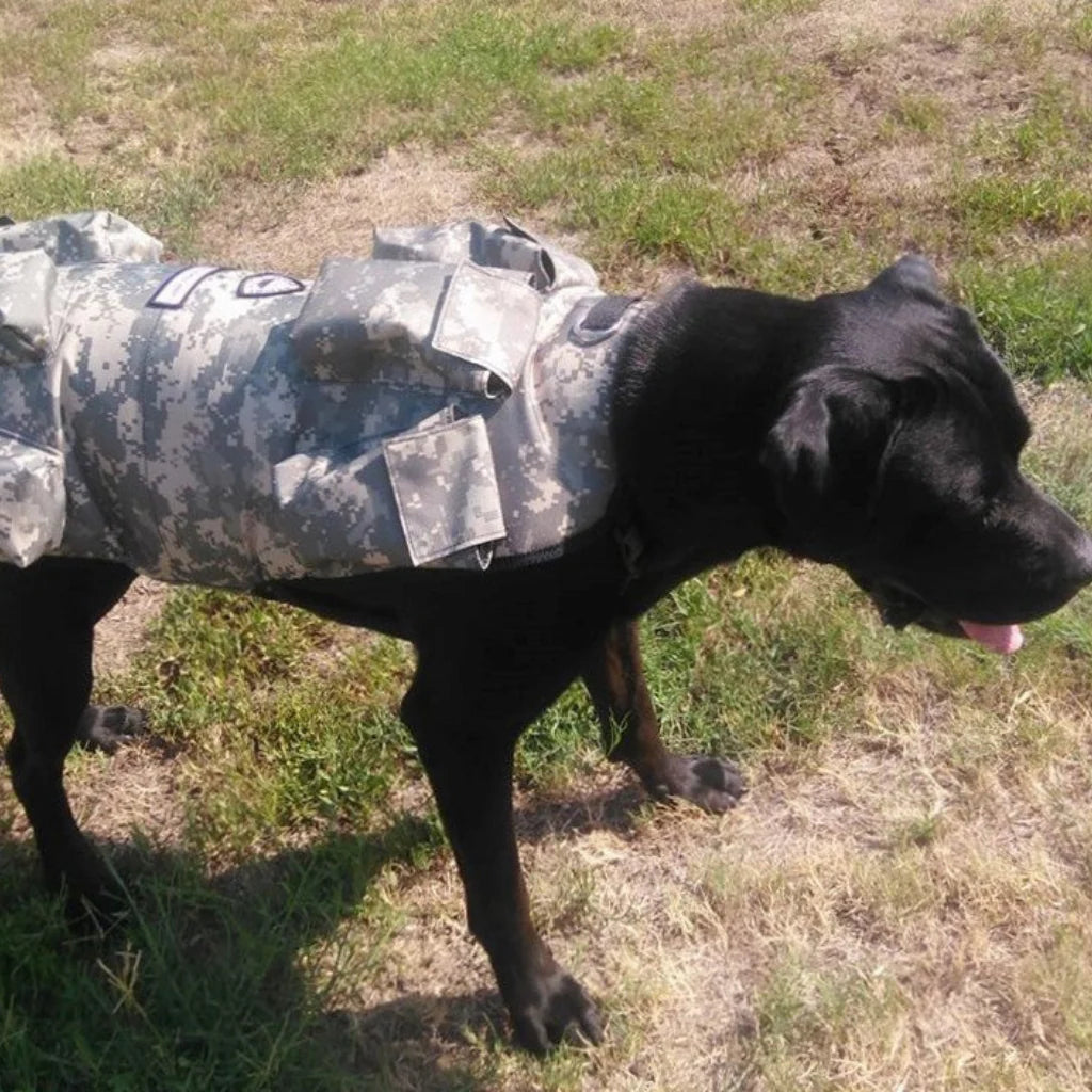 Weighted + Floatation Swimming + Pulling Attachment 3 in 1 Dog Vest