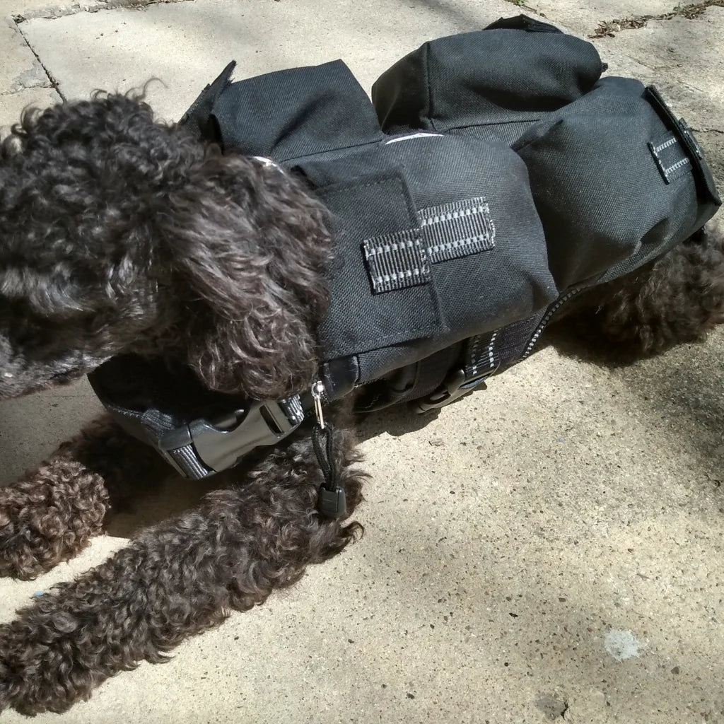 Weighted + Floatation Swimming + Pulling Attachment 3 in 1 Dog Vest
