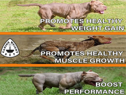 Muscle Gainer Dog Treats Soft Chew
