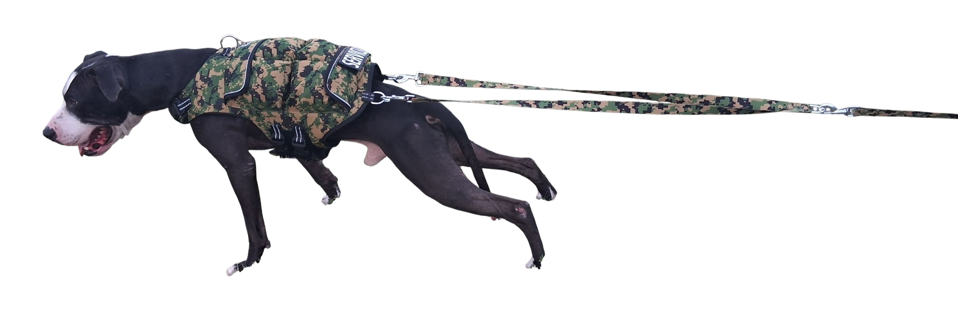 WEIGHTED DOG VEST VALUE PACKAGE
