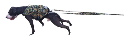 WEIGHTED DOG VEST VALUE PACKAGE