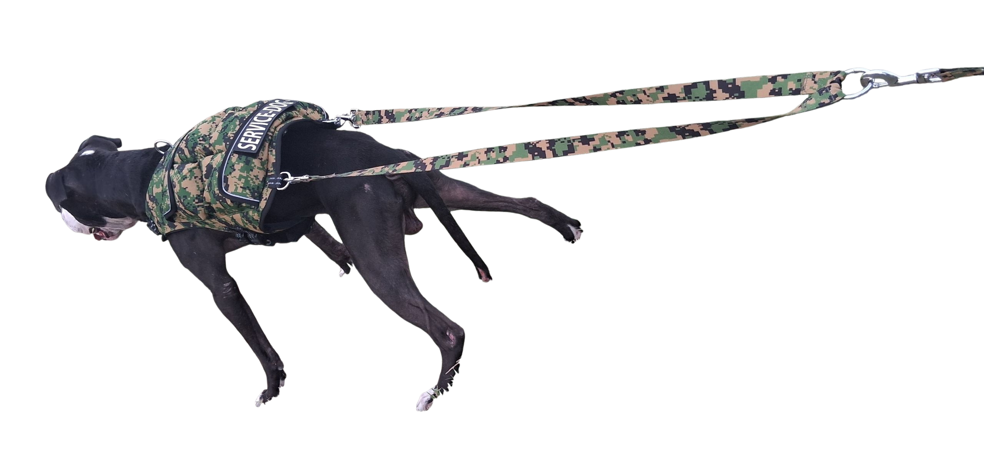 WEIGHTED DOG VEST VALUE PACKAGE