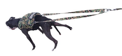 WEIGHTED DOG VEST VALUE PACKAGE