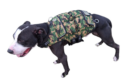 WEIGHTED DOG VEST VALUE PACKAGE