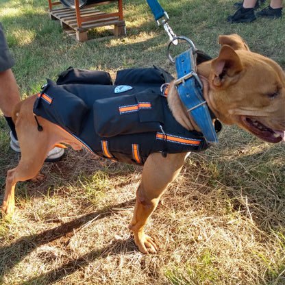 Weighted + Floatation Swimming + Pulling Attachment 3 in 1 Dog Vest