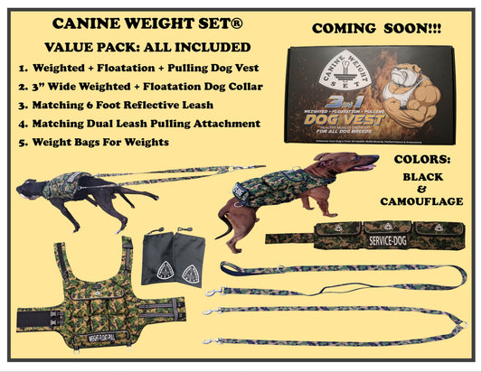 WEIGHTED DOG VEST VALUE PACKAGE